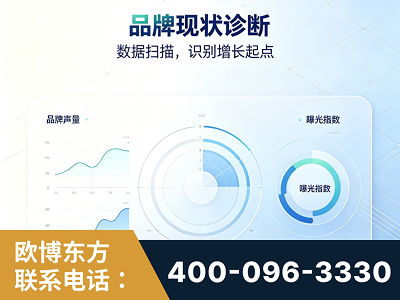 桂平-品牌现状诊断