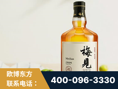 桂平-梅见青梅酒